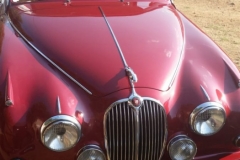 Interior Car Restorations